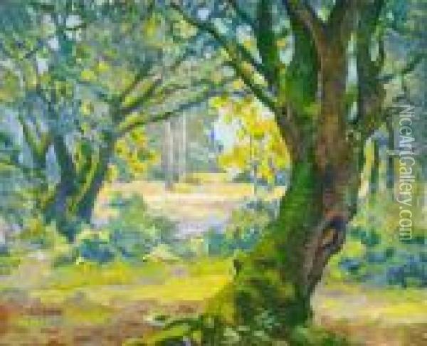 Trees In Summer Oil Painting - Robert Henry Logan