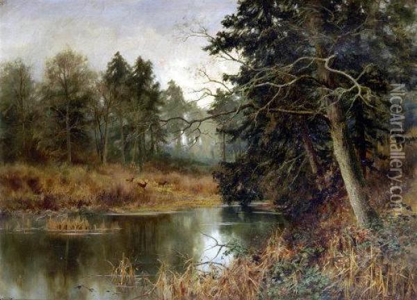 Stag By A Woodland Lake Oil Painting - Walter Boodle