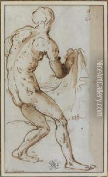 Figure D'homme Nu De Dos Tenant Untissu Oil Painting - Girolamo Romanino