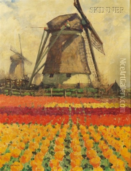 Tulip Fields With Windmill Oil Painting - George Hitchcock