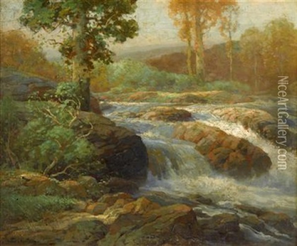 River In Spate Oil Painting - Walter C. Hartson