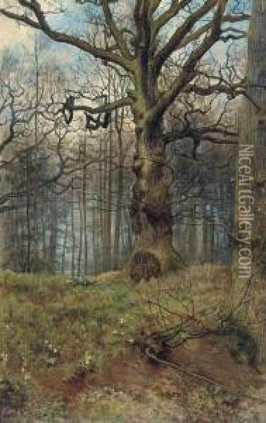 The Spring Wood Oil Painting - John Maler Collier