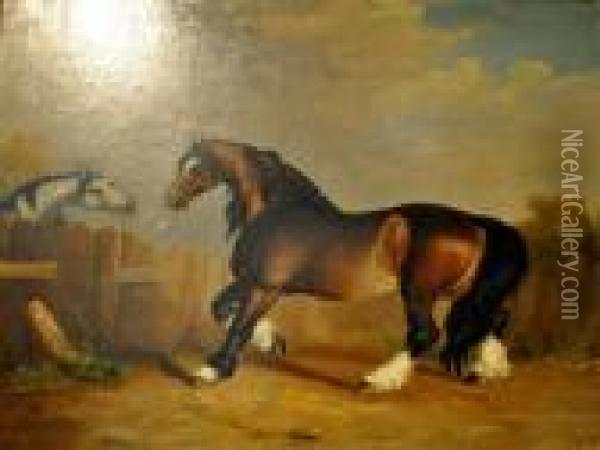 Study Of A Brown Horse Oil Painting - George Stubbs