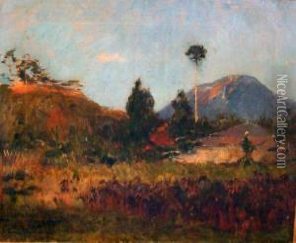 Vue De Mafat Volcan Piton De La Fournese, Reunion Oil Painting - Louis Dumoulin