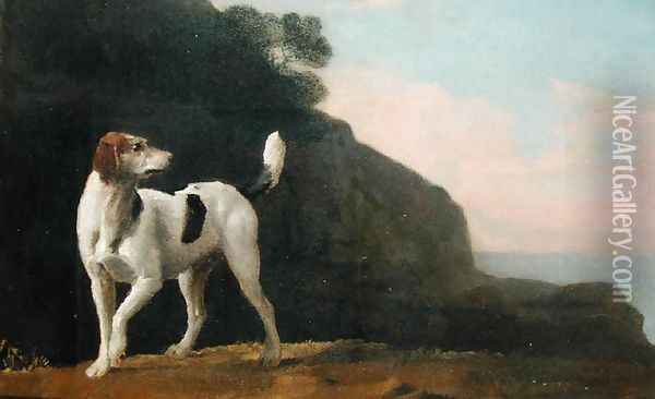 A Foxhound, c.1760 Oil Painting - George Stubbs