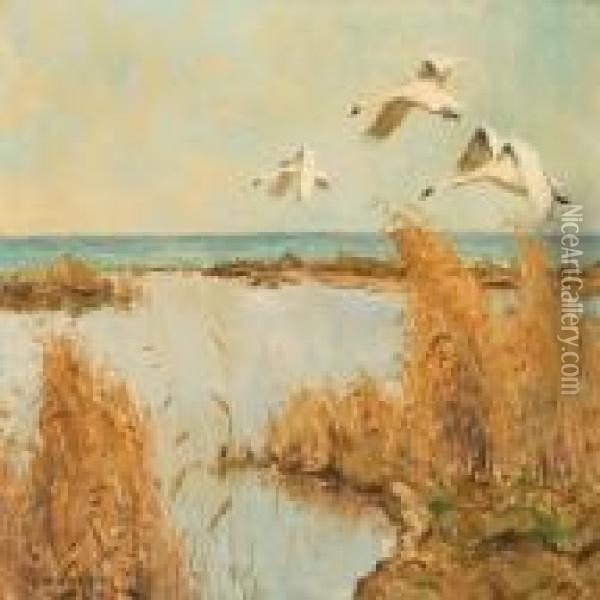 Swans Flying Overthe Coast Oil Painting - William Gislander
