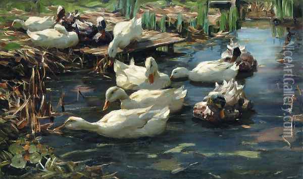 Ducks in a Quiet Pool Oil Painting - Alexander Max Koester