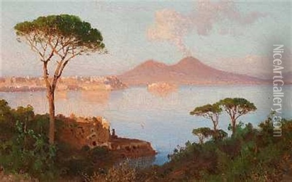 Parti Fra Napolibugten, I Baggrunden Vesuv Oil Painting - Alessandro la Volpe