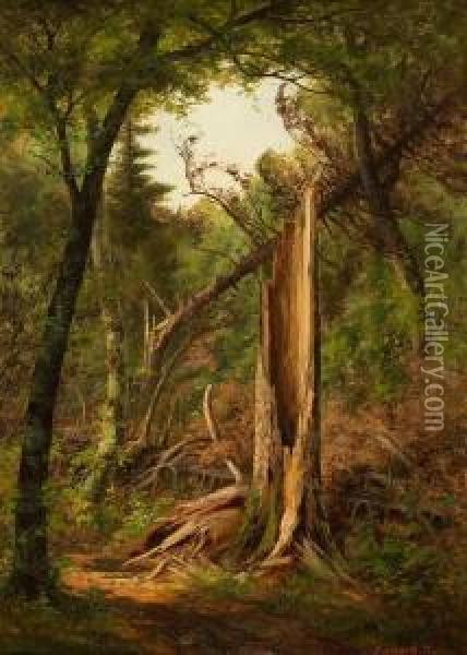 Woodland Interior Oil Painting - Edward Hill