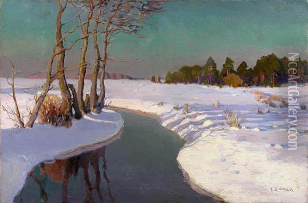 Pejzaz Zimowy Ze Strumykiem, Ok. 1925-30 Oil Painting - Teodor Ziomek