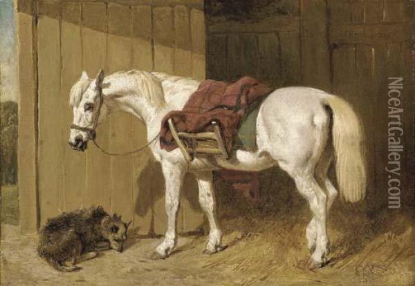 A Grey Pony With A Dog By A Stable Door Oil Painting - John Frederick Herring Snr