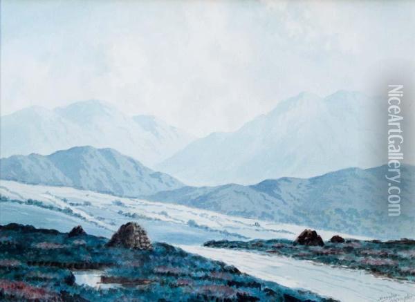 On The Road To Reenaue, Connemara Oil Painting - Douglas Alexander