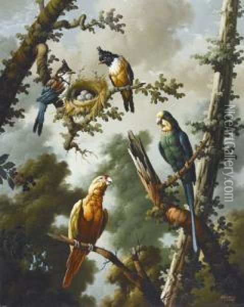 Zwei Amazonas-papageien Und Vogelpaar Mit Nest Oil Painting - J. Navarro