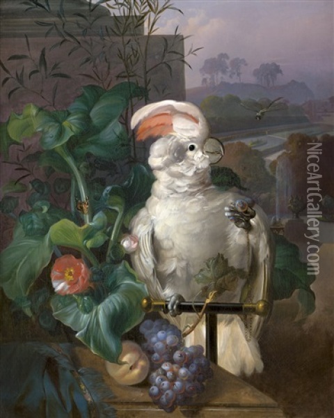 Weiser Kakadu Mit Traube Oil Painting - Sebastian Wegmayr