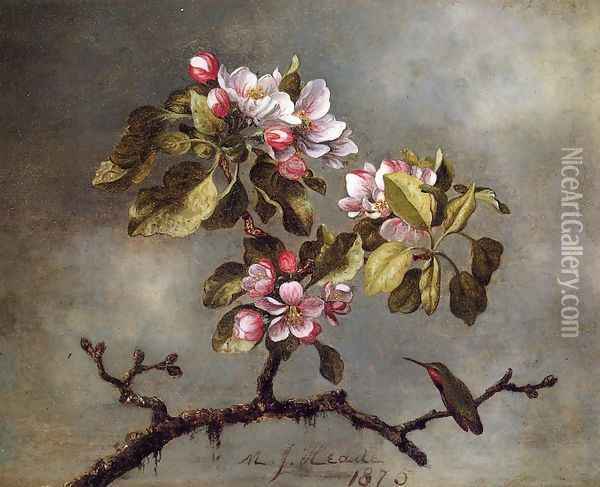 Apple Blossoms And Hummingbird2 Oil Painting - Martin Johnson Heade