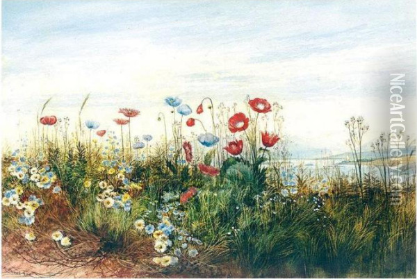 A Poppyfield With A View Of Doe Castle, County Donegal Oil Painting - Andrew Nicholl