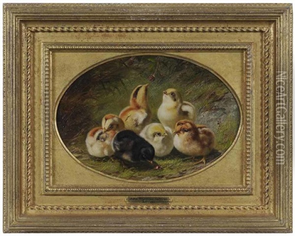 A Brood Of Chicks Oil Painting - Arthur Fitzwilliam Tait