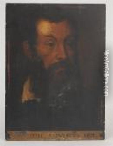Portrait Of A Man Oil Painting - Domenico Tintoretto