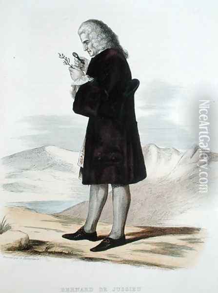 Bernard de Jussieu 1699-1777 Oil Painting - Guilleminot, Armand