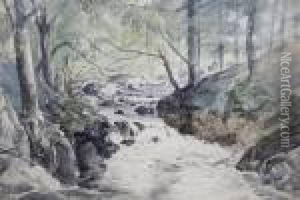Woodland Stream Oil Painting - William James Muller