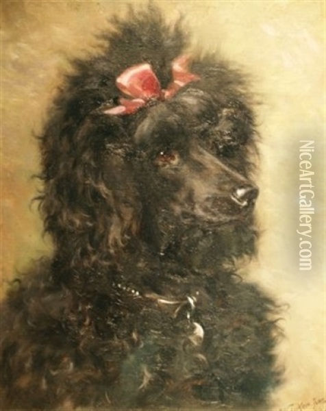 Portrait Of A Black Poodle With A Pink Bow Oil Painting - William Luker Sr.