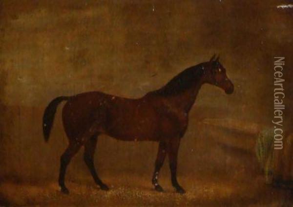 Racehorse In A Stable Oil Painting - William Joseph Shayer