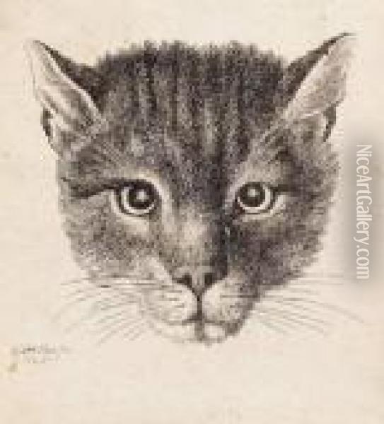 [the Small Cat's Head] Oil Painting - Wenceslaus Hollar