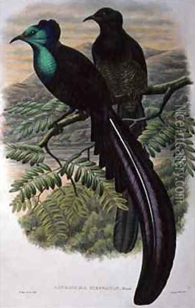 Princess Stephanies Bird of Paradise Oil Painting - William M. Hart