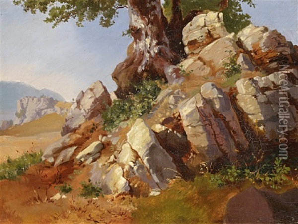 Felsenlandschaft (study) Oil Painting - Friedrich Johann C.E. Preller the Elder