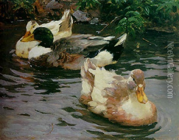 Drei Enten Nahe Dem Ufer Oil Painting - Alexander Max Koester