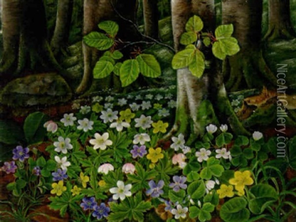Hvide, Bla Og Gule Anemoner I Skovbunden Oil Painting - Anthonie Eleonore (Anthonore) Christensen