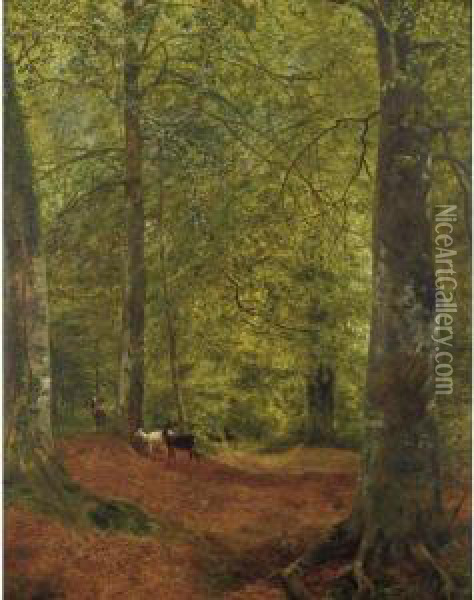 Deer In The Woods Oil Painting - Rex Vicat Cole