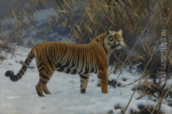 A Tiger Prowling In The Snow Oil Painting - Hugo Ungewitter