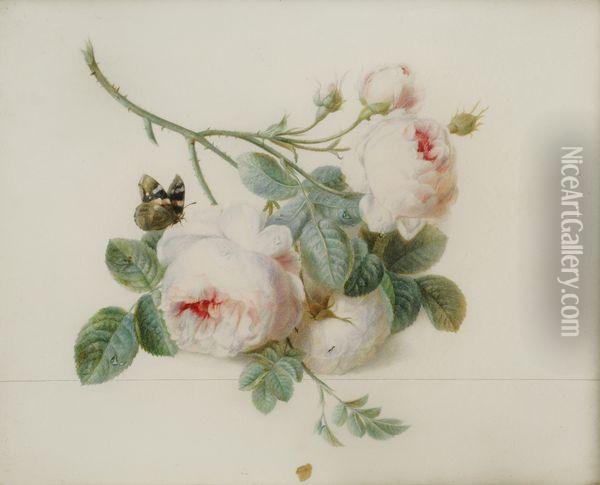 Roses Et Papillon Oil Painting - Pierre-Joseph Redoute