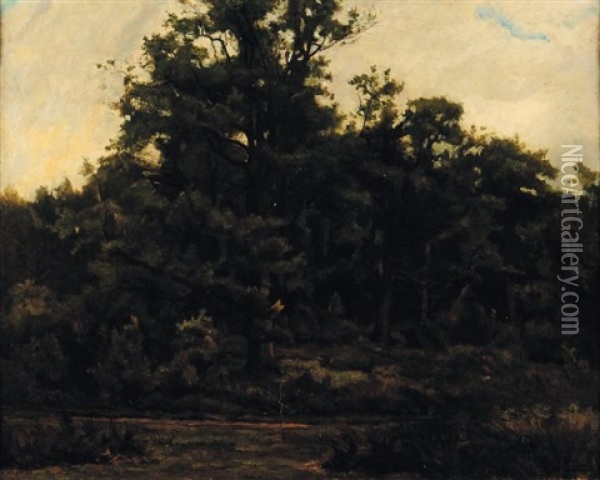 Paysage De Foret Oil Painting - Gustave Allemand