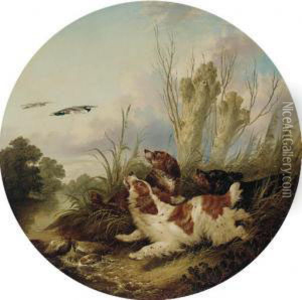 Spaniels Flushing Mallards Oil Painting - A. Mearns