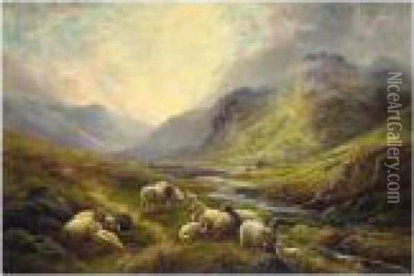Sheep Resting In A Highland Landscape Oil Painting - Robert Watson