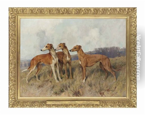 Colonel J. Dennis's Greyhounds Distingue, Dendraspis And Dilwyn Oil Painting - Arthur Wardle