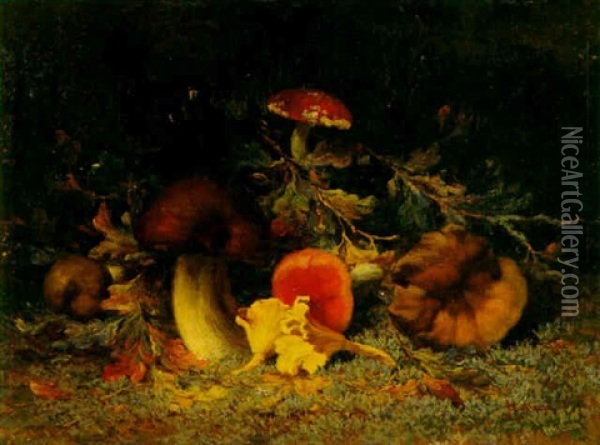 Mushrooms Oil Painting - Wilhelm Christiaan Constant Bleckmann