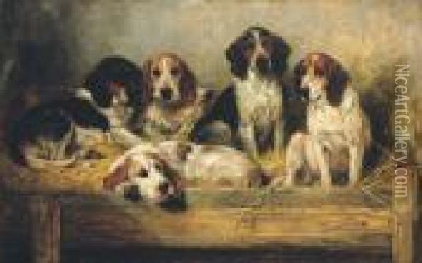 Hounds In A Kennel Oil Painting - John Emms