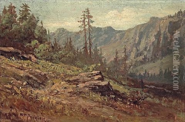 On The Road From Summit To Soda Springs Oil Painting - William Franklin Jackson