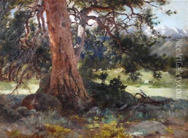 The Old Spruce Oil Painting - Hamilton Hamilton