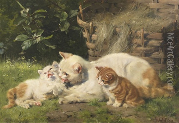 Katzenmutter Mit Ihren Beiden Jungen Oil Painting - Julius Adam the Younger