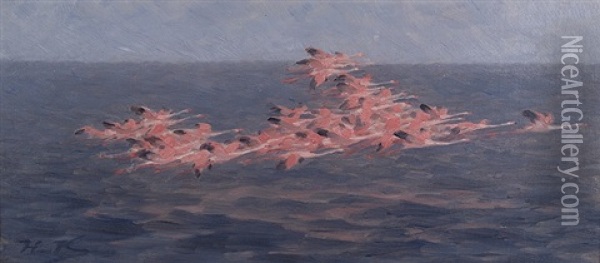Flamingos Above The Mediterranean Sea Oil Painting - Hermann Joseph Knackfuss