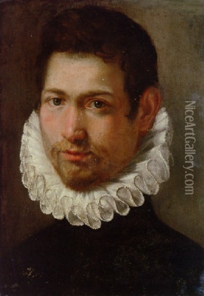 Portrait Of A Young Man In A White Ruff Oil Painting - Federico Barocci