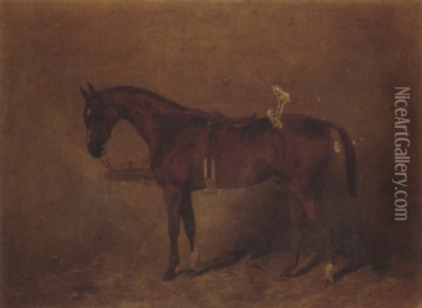 A Saddled Chestnut Polo Pony In A Stable Oil Painting - Henry Frederick Lucas Lucas