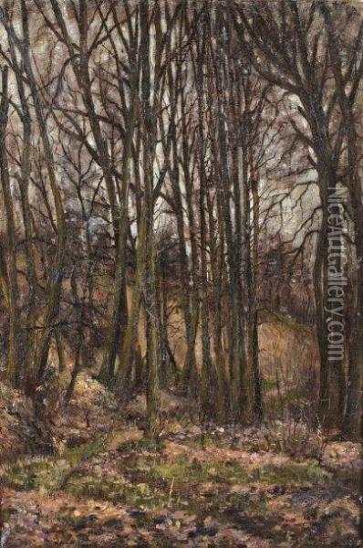 Bouquet D'arbres En Foret De Fontainebleau Oil Painting - Auguste Allonge