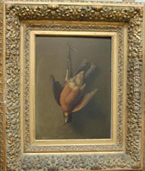 Louisiana Birds-male Robin Oil Painting - George David Coulon