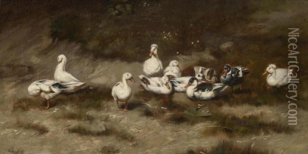 Ducks On The Bank Of A Stream Oil Painting - Geza Vastagh
