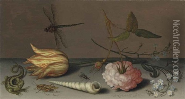 A Tulip, A Carnation, Spray Of Forget-me-nots, With A Shell, A Lizard And A Grasshopper On A Ledge, A Dragonfly In Flight Oil Painting - Balthasar Van Der Ast